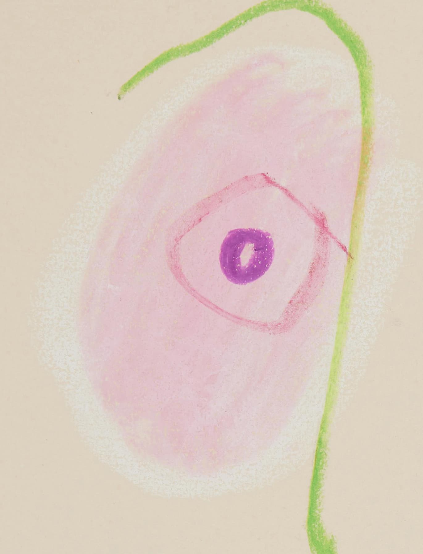 Tête d’Homme Barbu — close-up 6